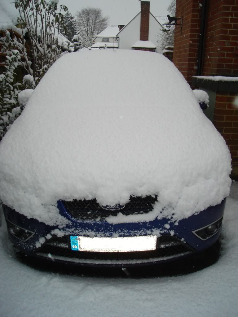 newcar2.jpg
