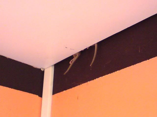DSC00405.JPG