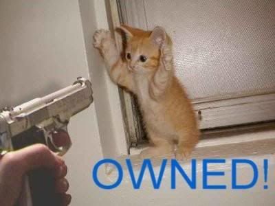 ownedcat.jpg