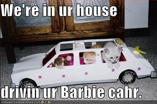 Barbie car Pictures, Images and Photos