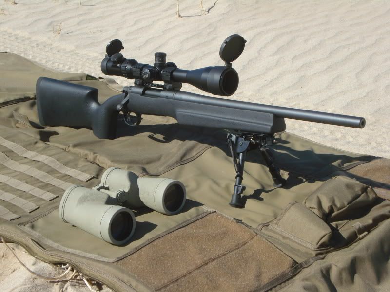 remington 700 sps. With my SPS Tactical (.308),