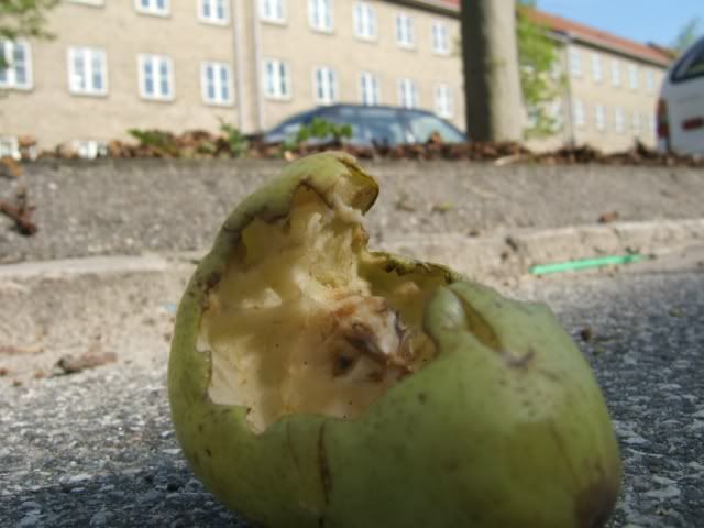 Rotting Pear