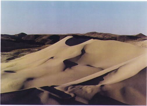 dune01.jpg