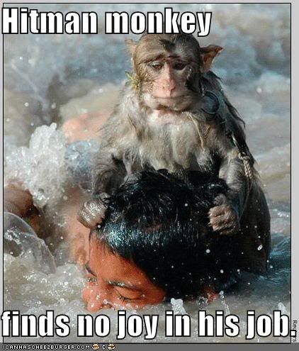 funny-pictures-hitman-monkey-drowns.jpg