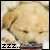 LibiLouGrillz.gif LibiLouGrillz image by katydidknits