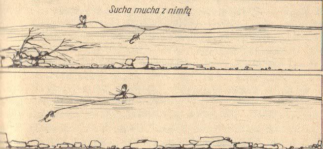 Dołączona grafika