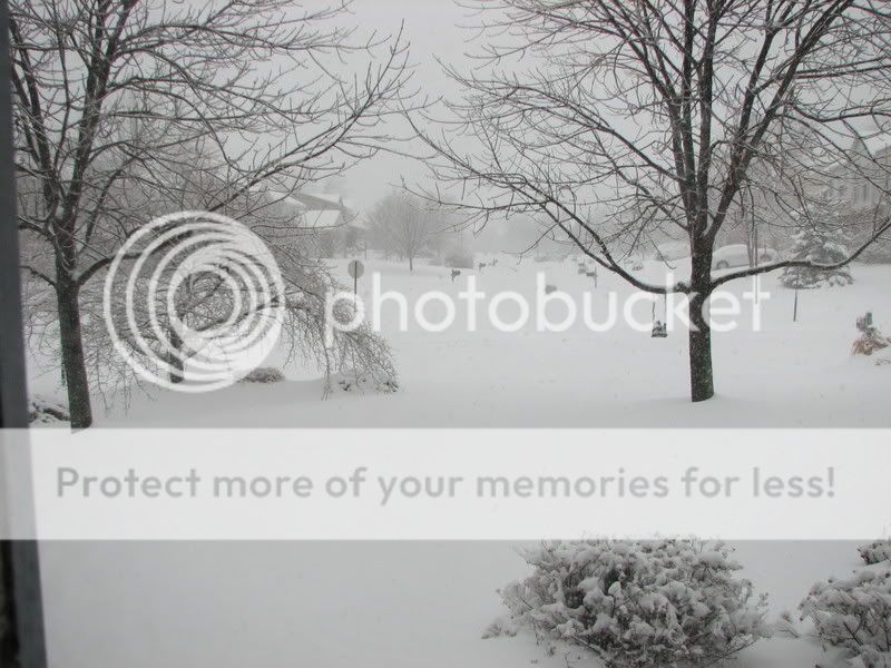 Picture091.jpg picture by vixnic