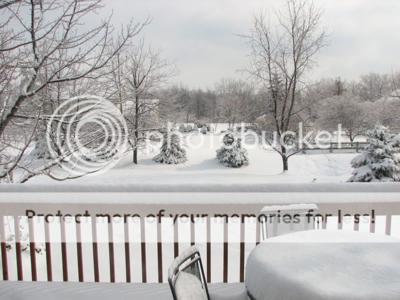 Picture099.jpg picture by vixnic