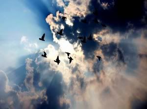 https://i12.photobucket.com/albums/a212/Mexen/2-1-000000000000000000000000000000.jpg