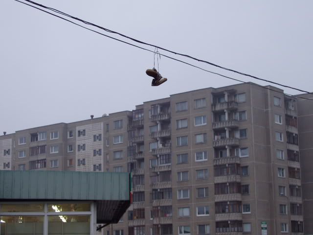 https://i12.photobucket.com/albums/a212/Mexen/PA270034.jpg