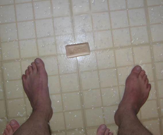 https://i12.photobucket.com/albums/a212/Mexen/milo.jpg