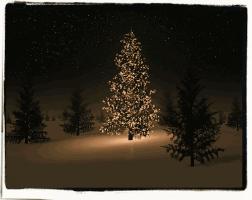 photo tumblr_ngw1s7zv4q1ro4v2no1_500_zps2xa87v8t.gif