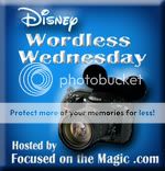 Focused on the Magic Wordless Wednesday Blog Hop