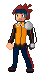 [PokeCommunity.com] Desgardes' Pokemon Overworld shop