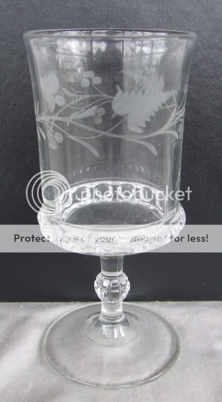 Dakota Etched Decorated Water Goblet, Ripley & US Glass, EAPG, PG 075