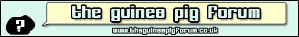 bannertgpf.jpg