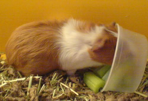 foodtime.jpg