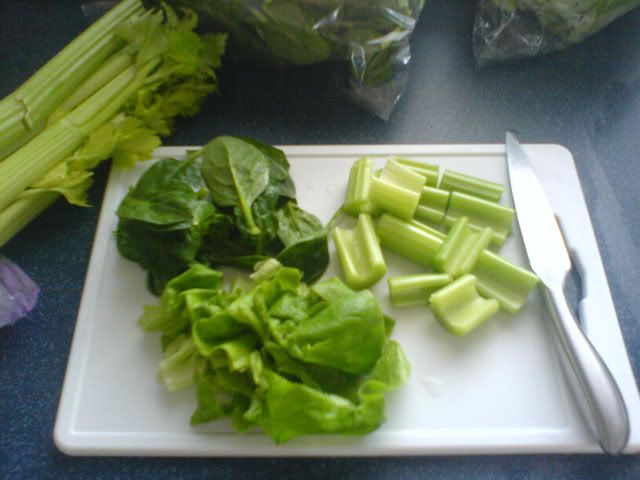 foodtime1.jpg