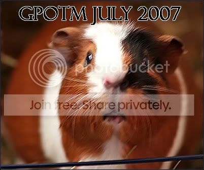 gpotmjuly.jpg