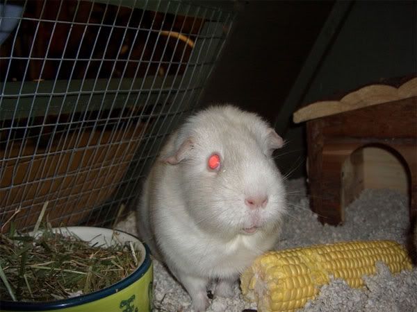 michele1.jpg