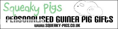 squeakypigs-1.jpg