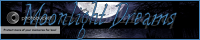 Moonlight Dreams banner