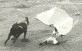 nelcogida.gif
