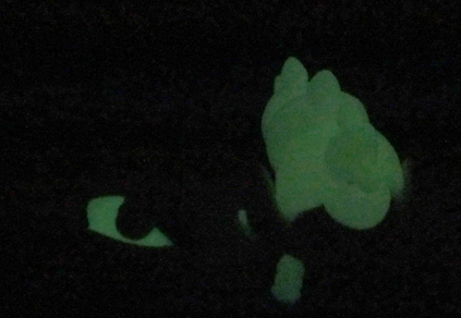 photo glow_zpscf85ac94.png