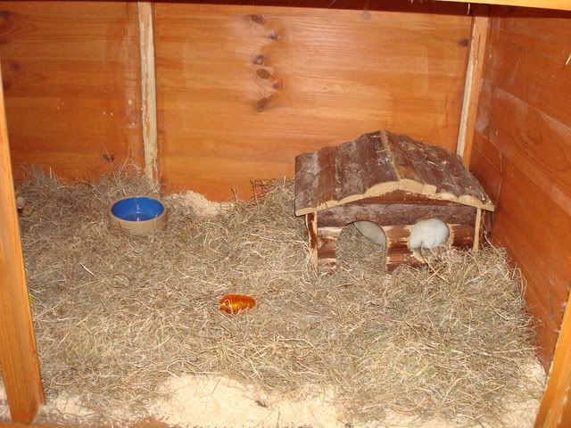 DSC00065.jpg