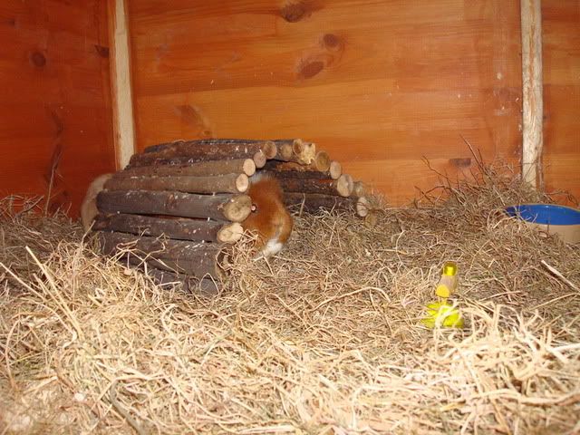 DSC00066.jpg