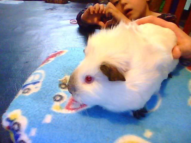 Snapshot_20120721_7.jpg