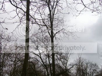 Image hosting by Photobucket