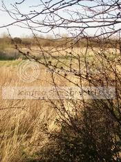 Image hosting by Photobucket