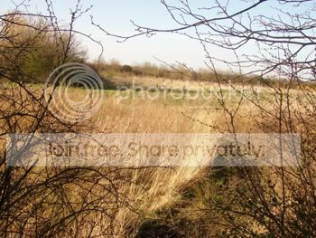 Image hosting by Photobucket