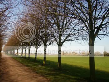 Image hosting by Photobucket