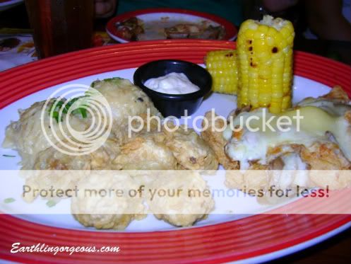 Chicken and Corn plate
