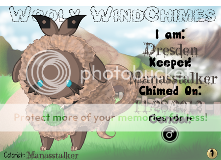 User Image